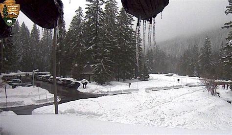 longmire webcam|Mt. Rainier National Park Webcams 